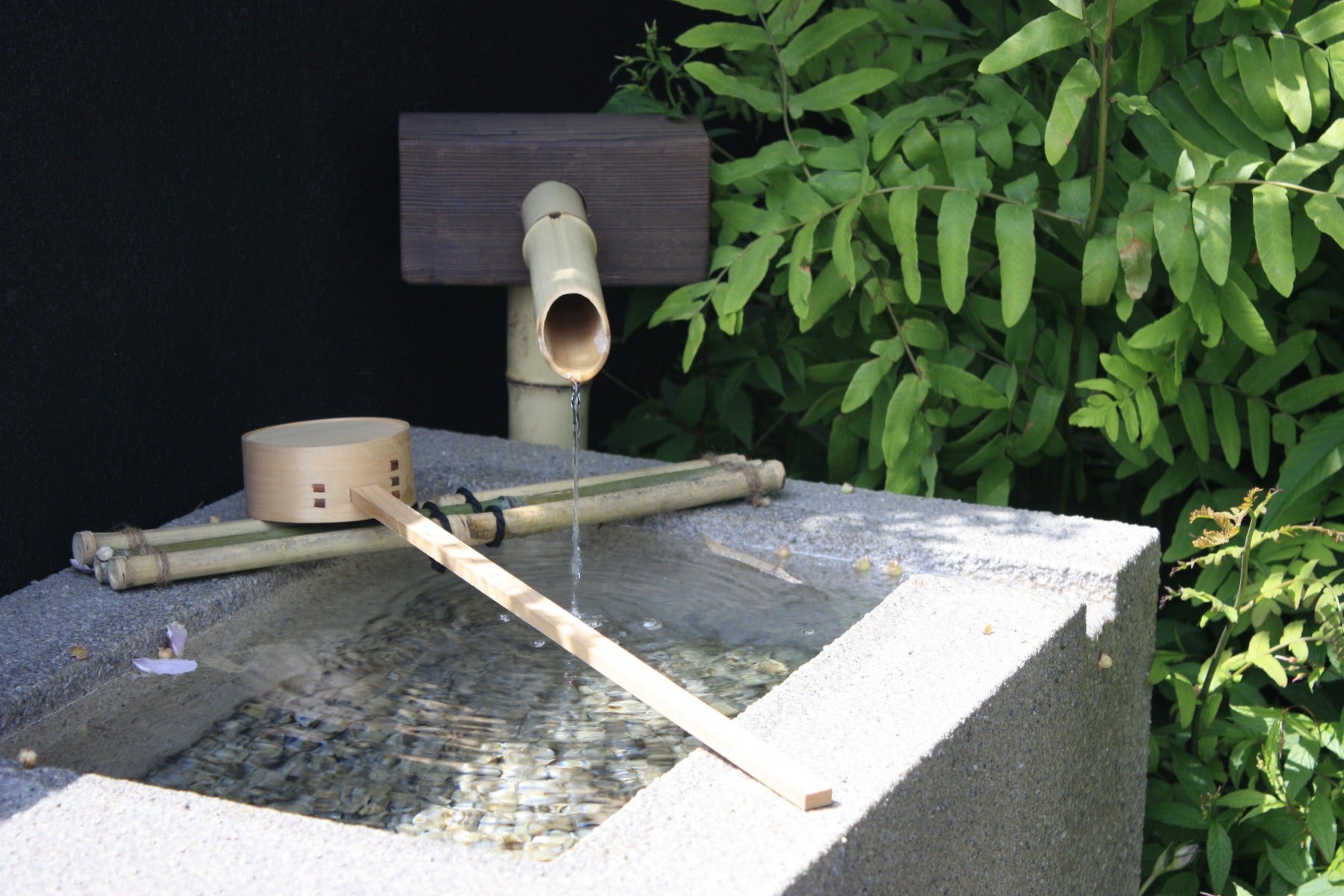 Japanischer Garten Wasser