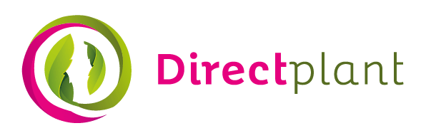 Directplant.de